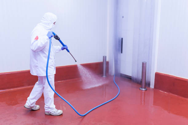 Best Dumpster Area Cleaning  in West Lafayette, IN