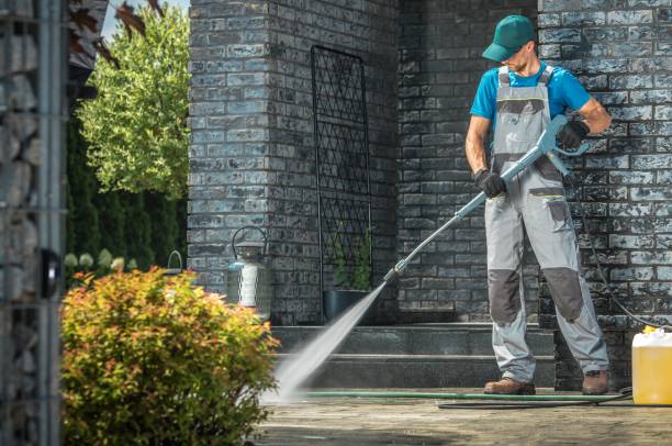 Best Soft Washing  in West Lafayette, IN